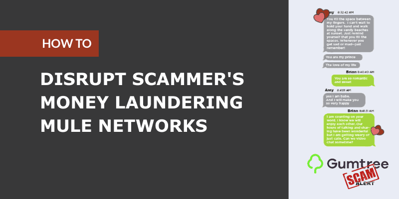How to Disrupt Scammer’s Money Laundering Mule Networks