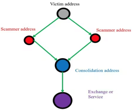 crypto scam evidence report