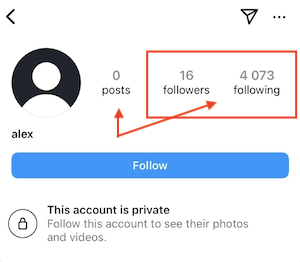 fake instagram account
