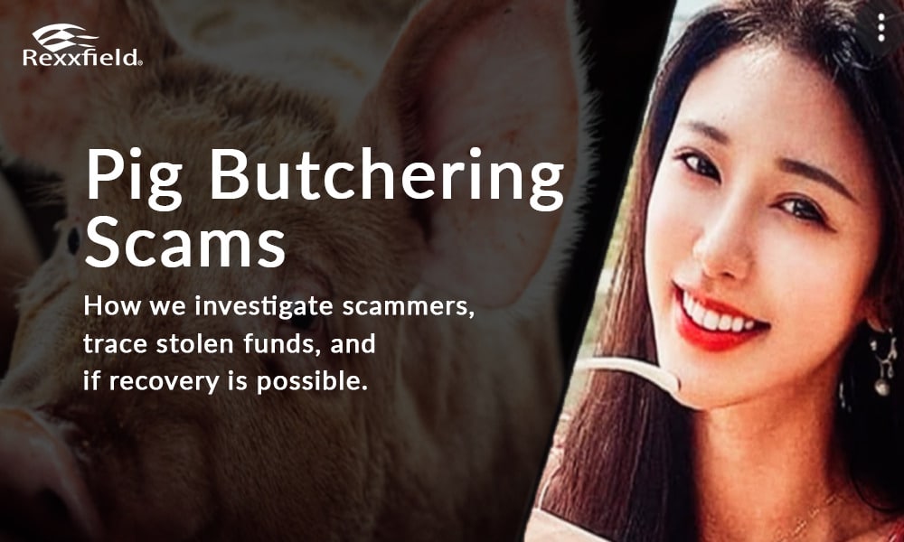 pig butchering scams investigations